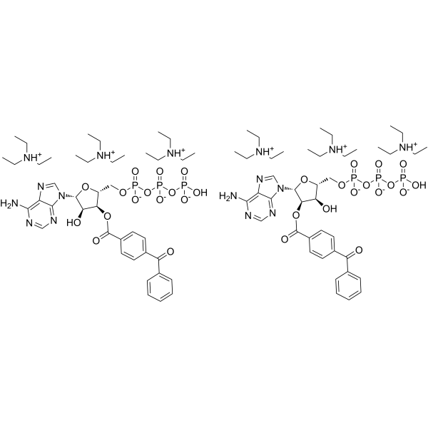 BzATP triethylammonium salt